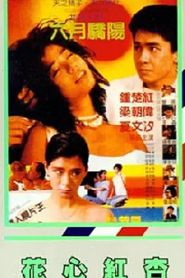 福利理论片午夜片