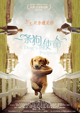 国产福利视频一区美女