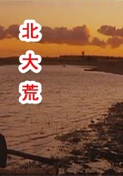 av午夜