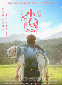 拍拍拍网站