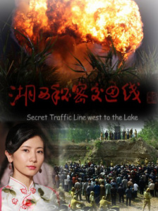 99久久精品免费看国产免费