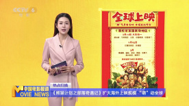 关于我情敌的一切