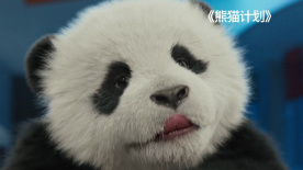 第11个妈妈