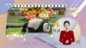 免费视频你懂的